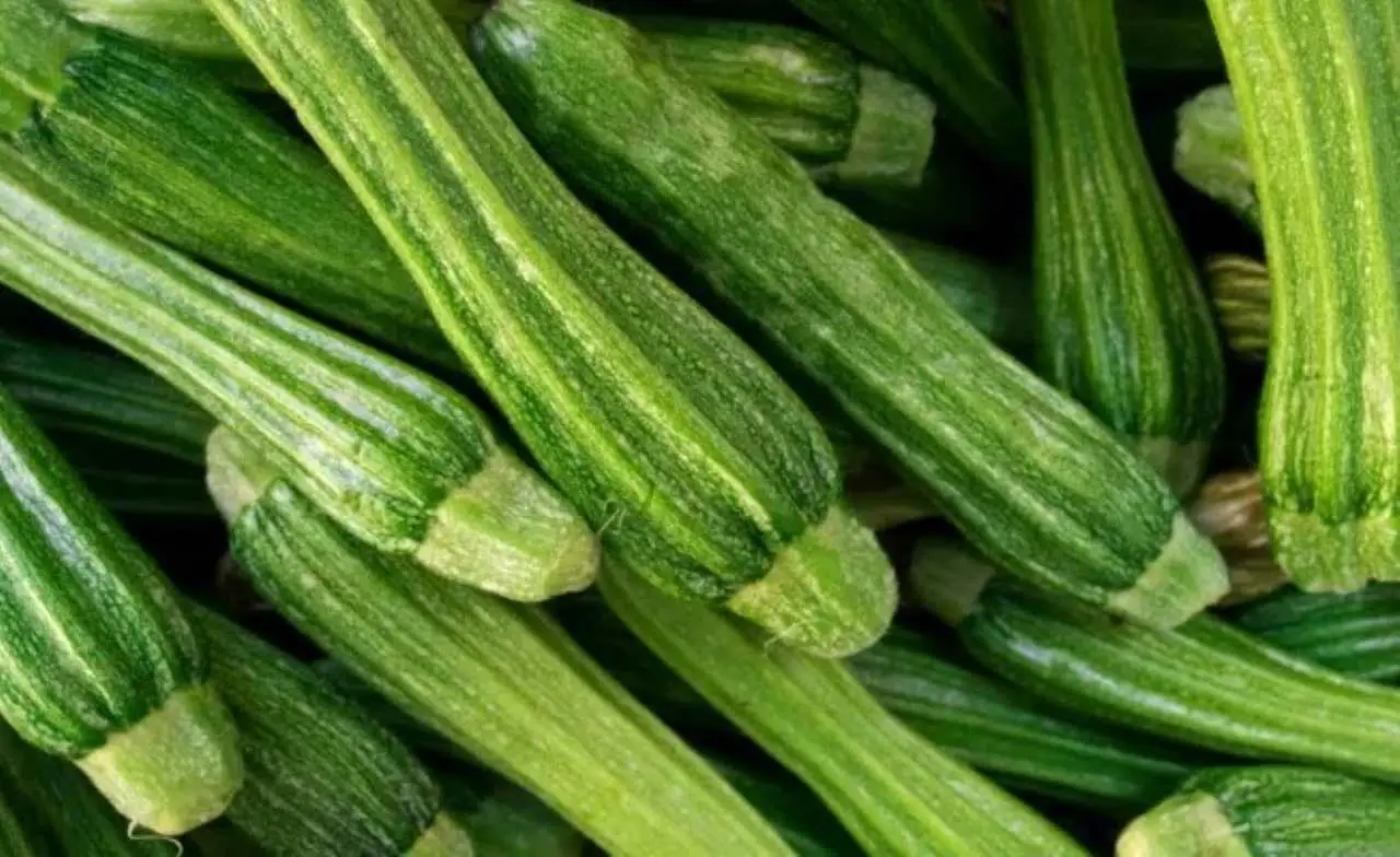 Non piantare le zucchine in questa fase lunare o comprometterai il raccolto